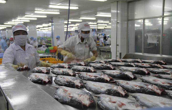 Xu hướng 3 kiểu giày