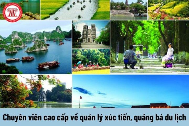 Chuyên gia Hotspot Matrix phân tích: 3 năm trước nghỉ việc ra đảo và marketing video