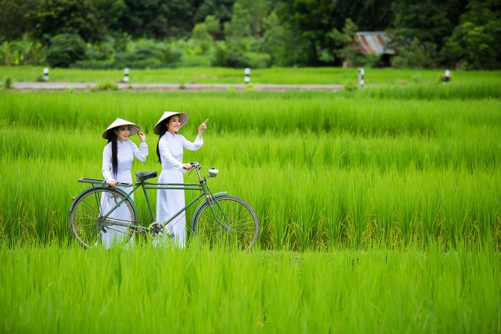 Sự Bùng Nổ Của Video Ngắn và Trí Tuệ Nhân Tạo: Vai Trò Thiết Yếu Của Đào Tạo Kỹ Năng Sáng Tạo Nội Dung