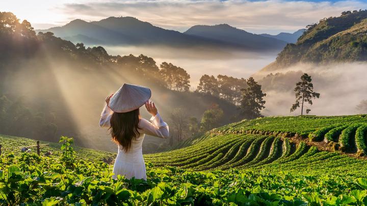 Mỹ Tâm: Họa mi tóc nâu và mối quan hệ với học trò