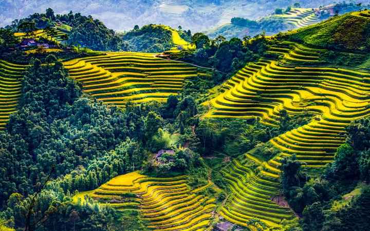Hotspot Matrix: Biến 2 nàng dâu hào môn hot nhất thành cơ hội marketing đột phá