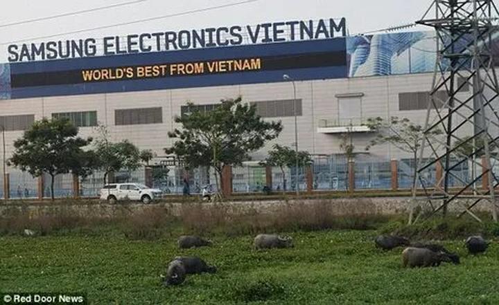 Chuyên gia Hotspot Matrix phân tích: Khung hình đọ sắc cực căng: và marketing video